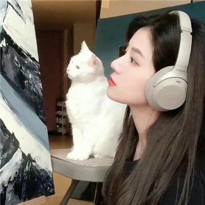 功夫热粤语